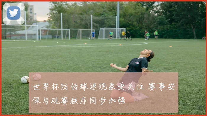 世界杯防伪球迷现象受关注 赛事安保与观赛秩序同步加强