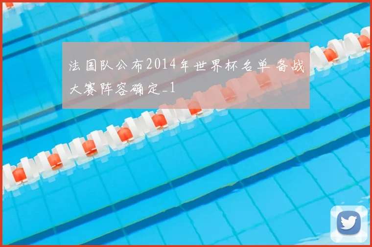 法国队公布2014年世界杯名单 备战大赛阵容确定_1