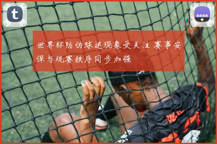 世界杯防伪球迷现象受关注 赛事安保与观赛秩序同步加强