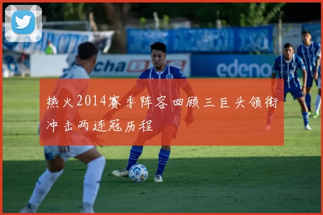 热火2014赛季阵容回顾三巨头领衔冲击两连冠历程